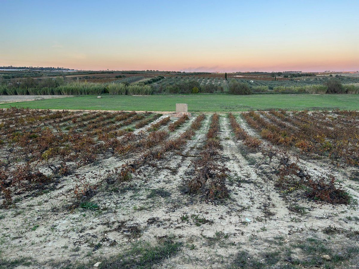 Finca rústica con más de 24.000 m2 de viñedos, olivar y tierra calma con dos pozos. Muy buen acceso.