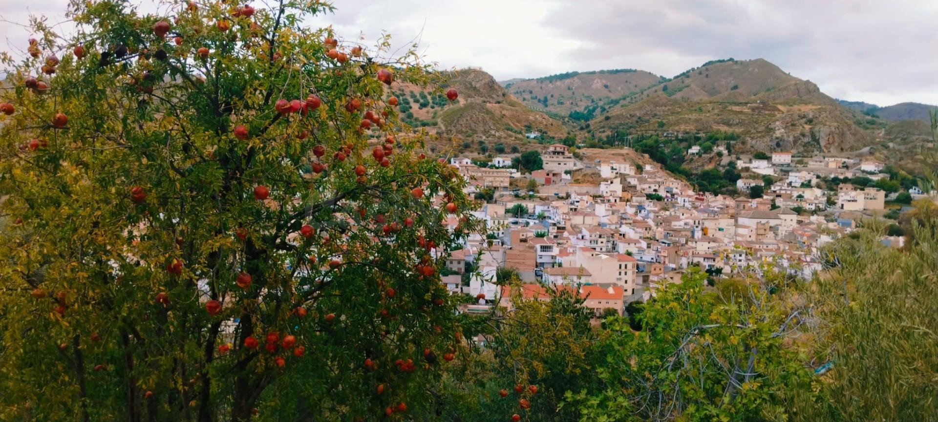 Apartamento en venta - Andalucia