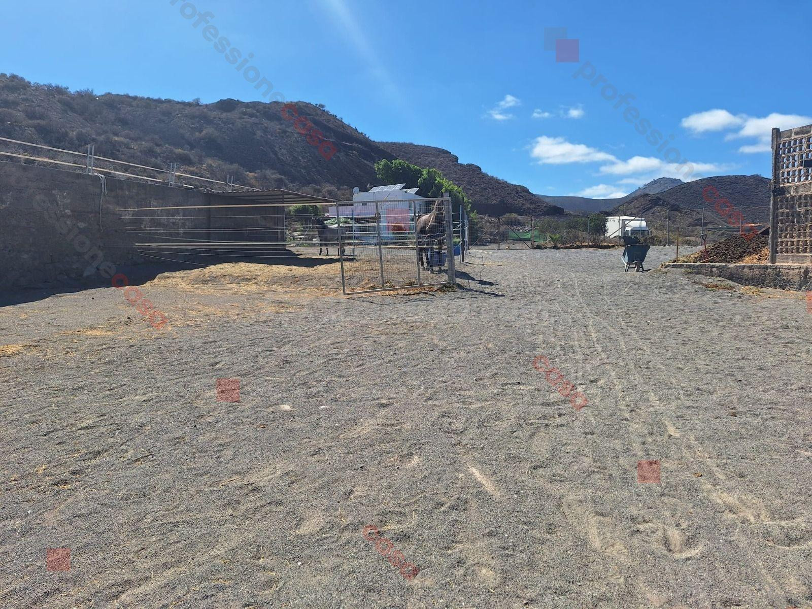 30.000 m2 de libertad, naturaleza e inversión en el corazón de Gran Canaria - foto 4