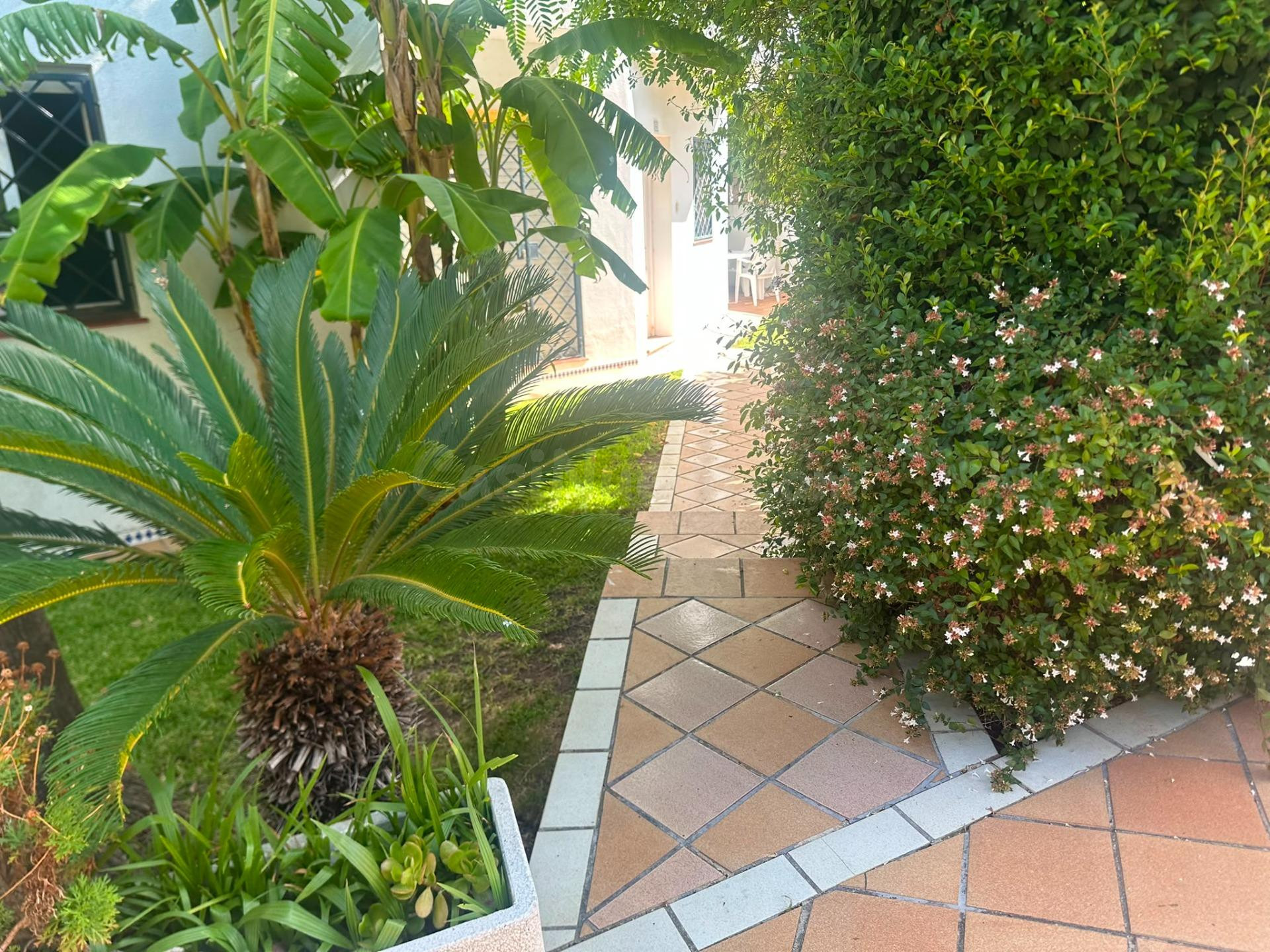 ADOSADO A 850 METROS DE LA PLAYA DE LA BARROSA | 3 DORMITORIOS | GARAJE
