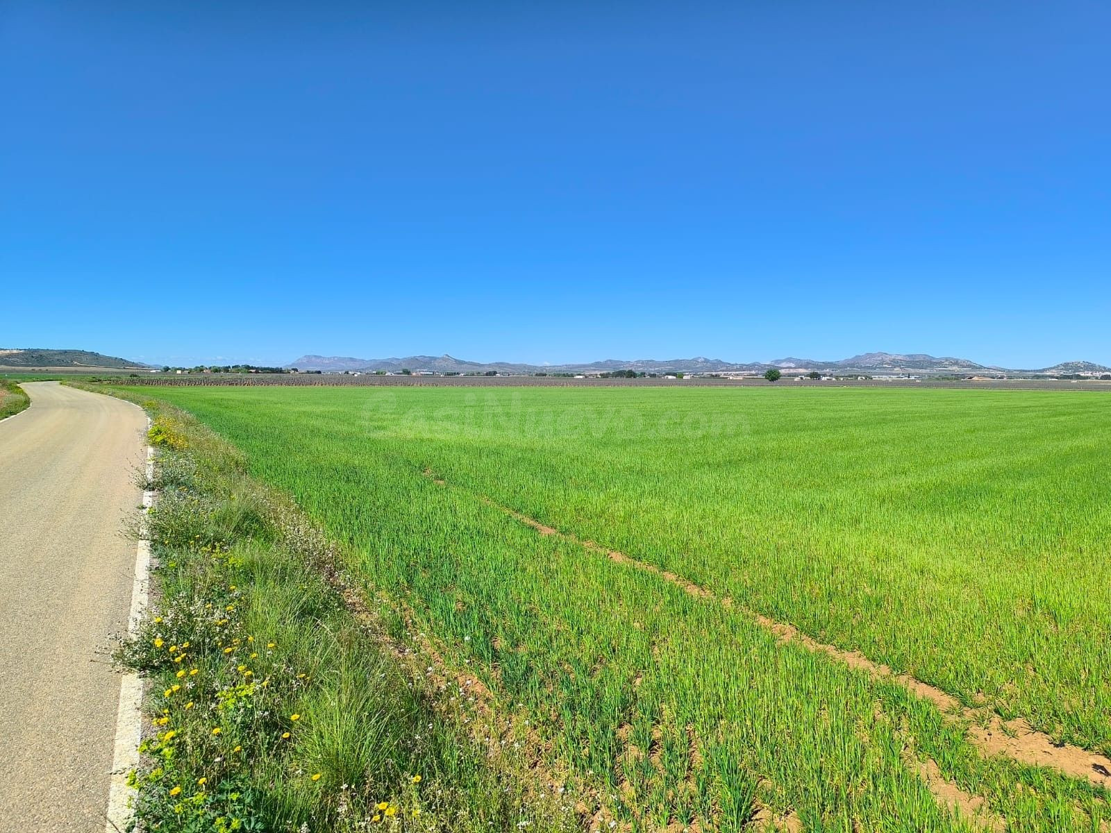 Parcela 5m² en venta - Ayuntamiento