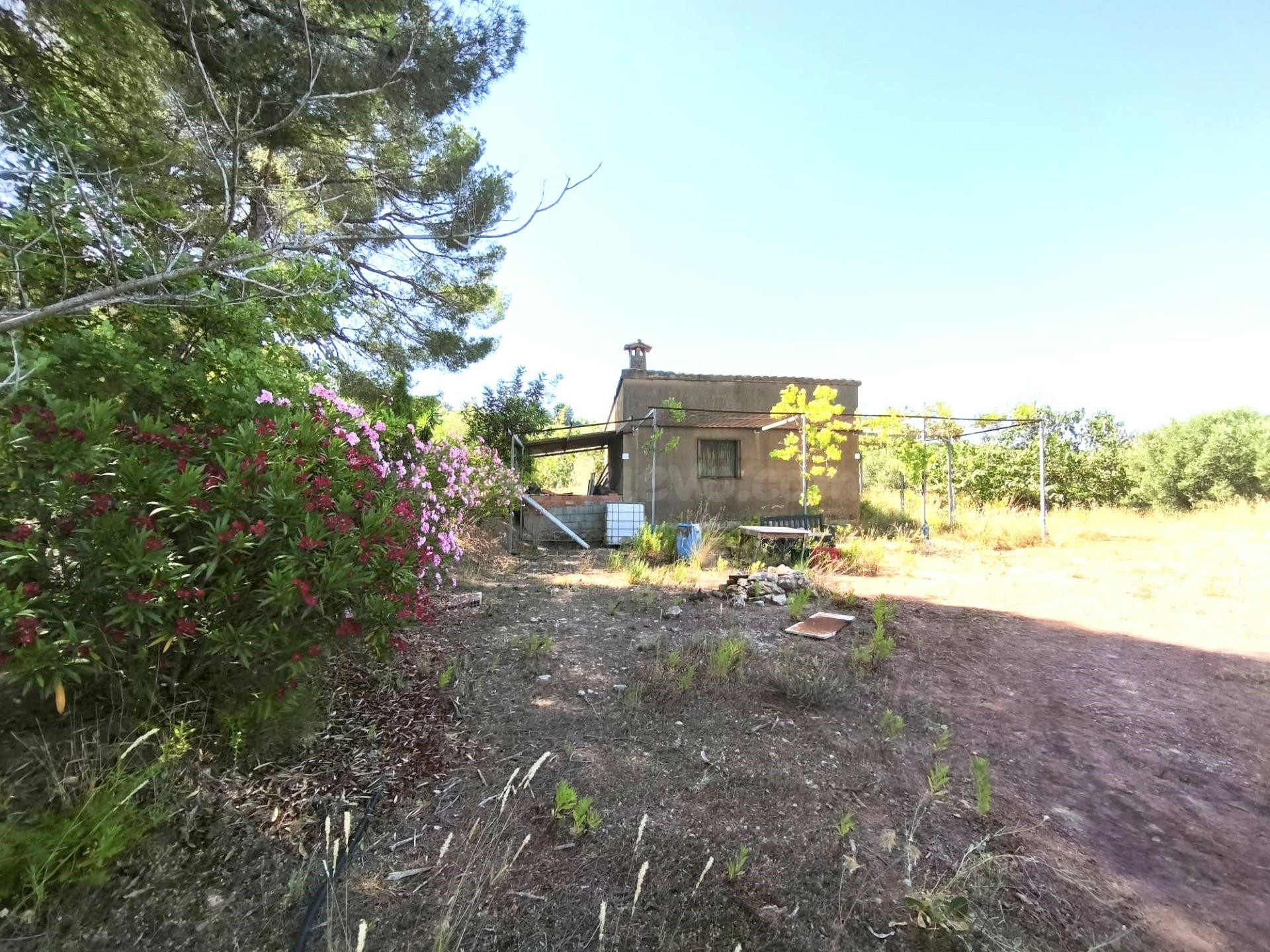 Oportunidad Única: Casa con Terreno en La Llosa de Ranes por €59,000