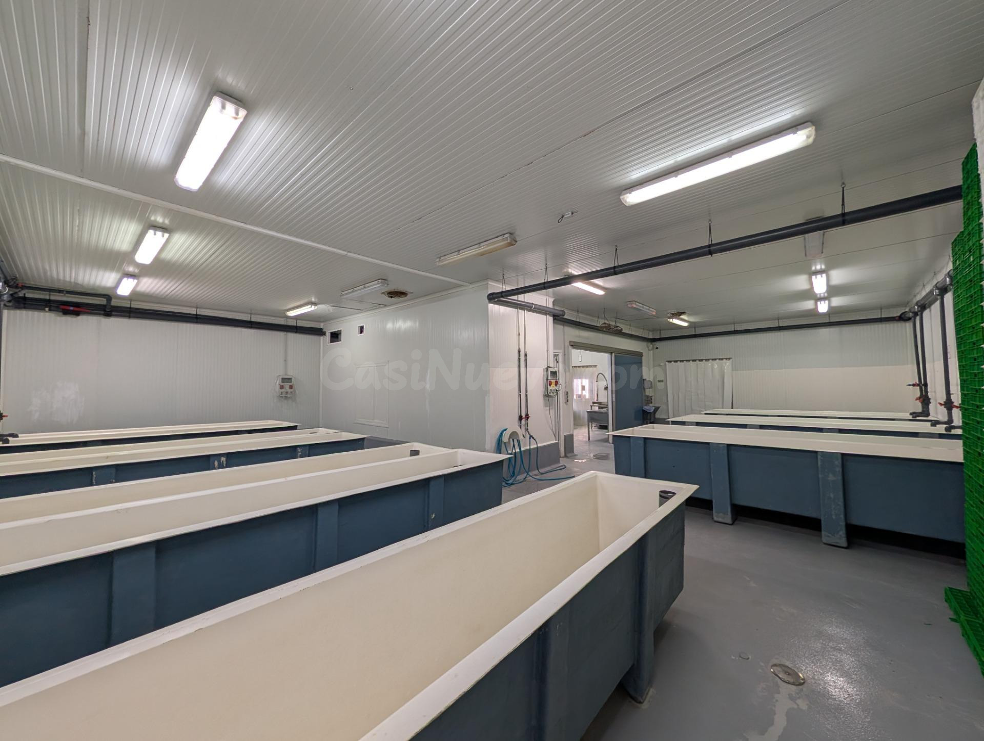 Nave Industrial en Polígono Industrial de Ayamonte - Oportunidad Única