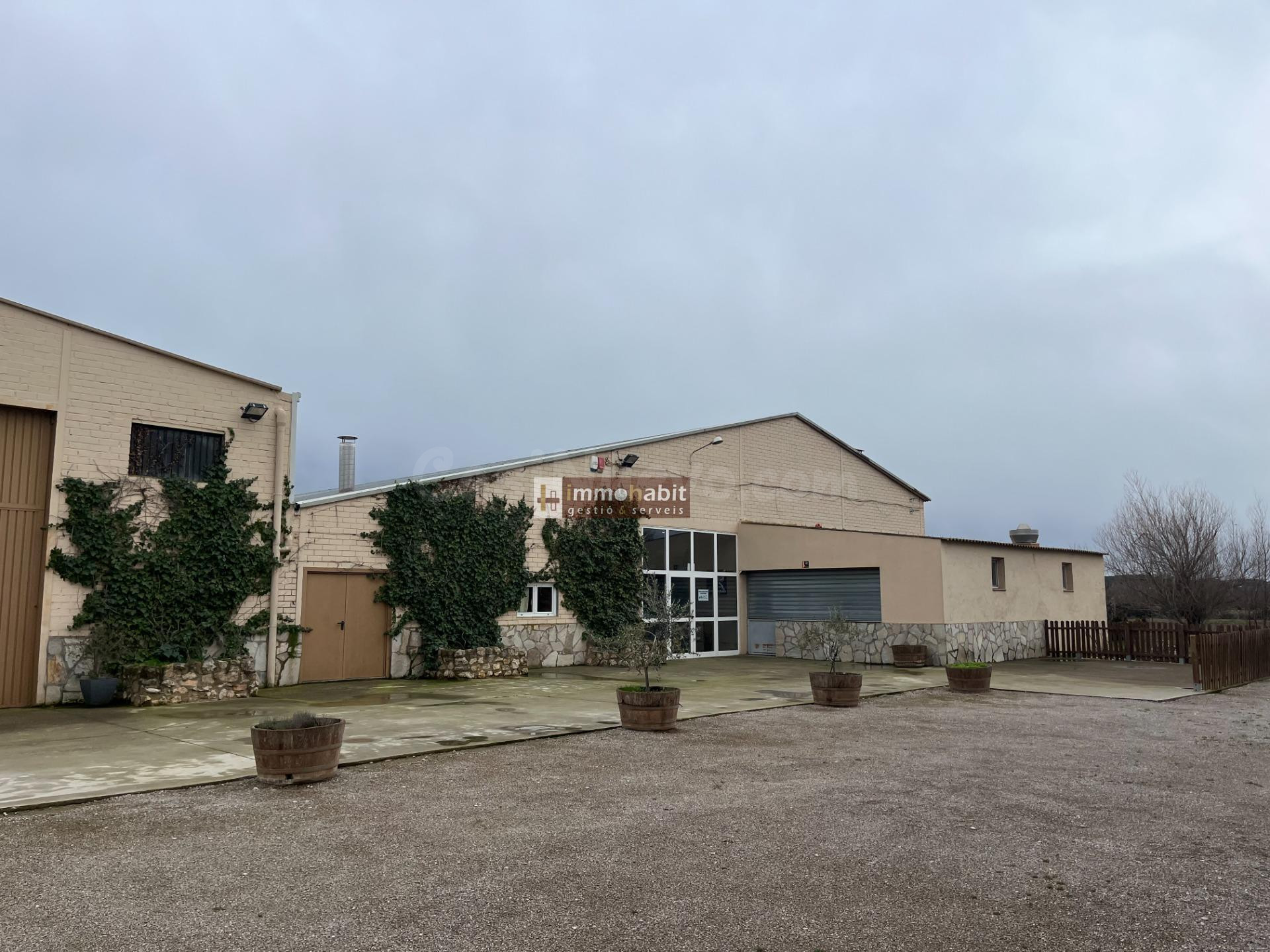 OPORTUNIDAD ÚNICA EN PUIGVERD / ESPACIO, NATURALEZA Y GRANDES POSIBILIDADES EN EL CORAZÓN DE PUIGVERD
