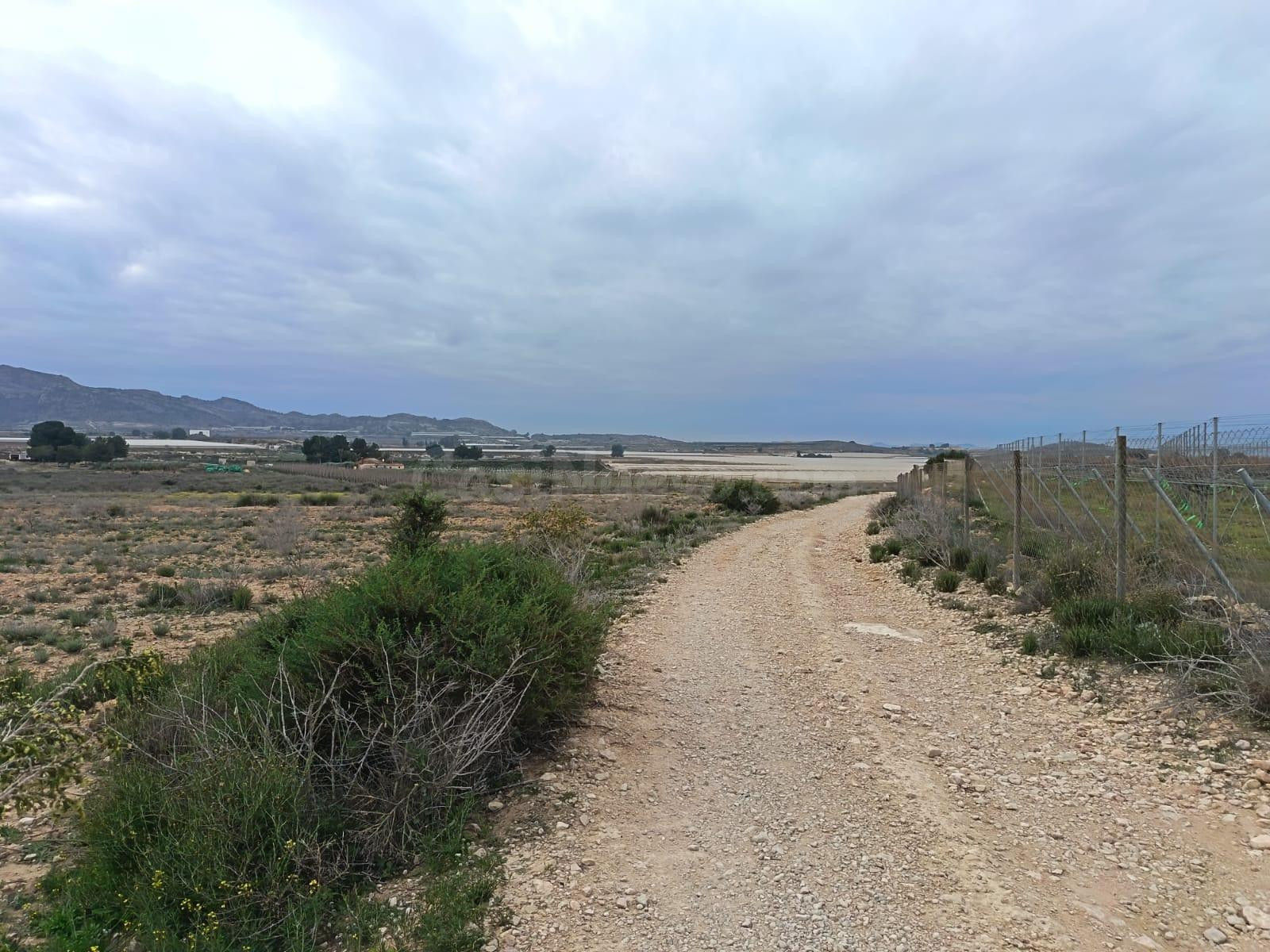SE VENDE TERRENO / MONFORTE DEL CID / 13.000 MTS. / SE PUEDE CONSTRUIR