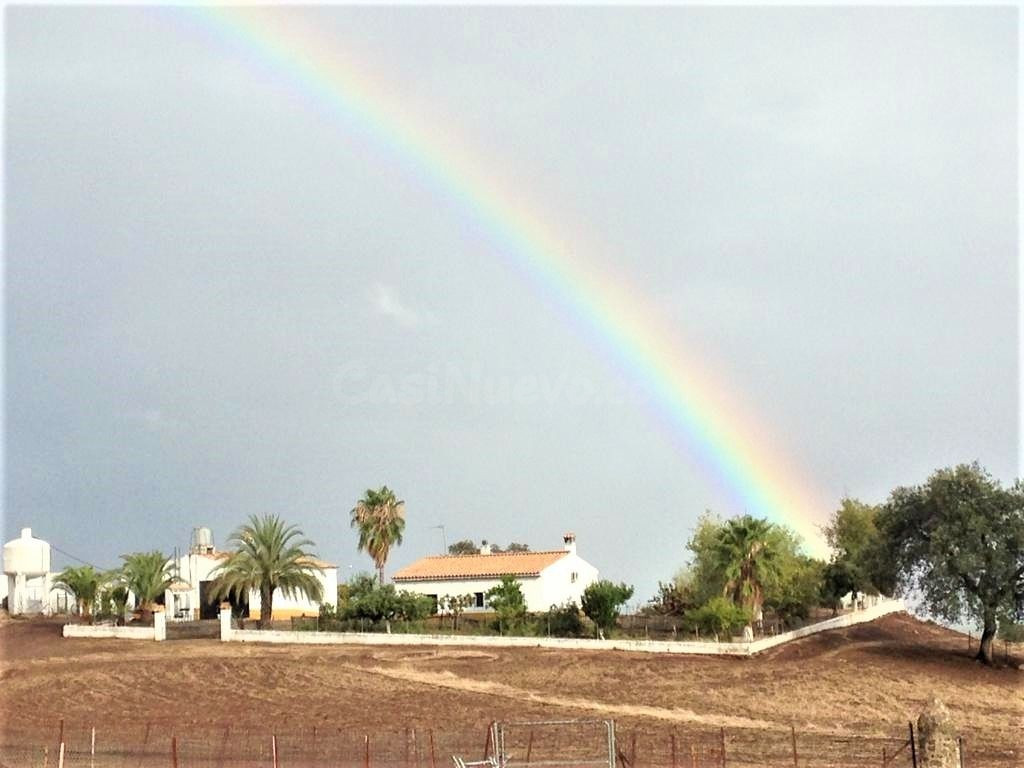 Finca de explotación ganadera en activo con 80 hectáreas en Sevilla