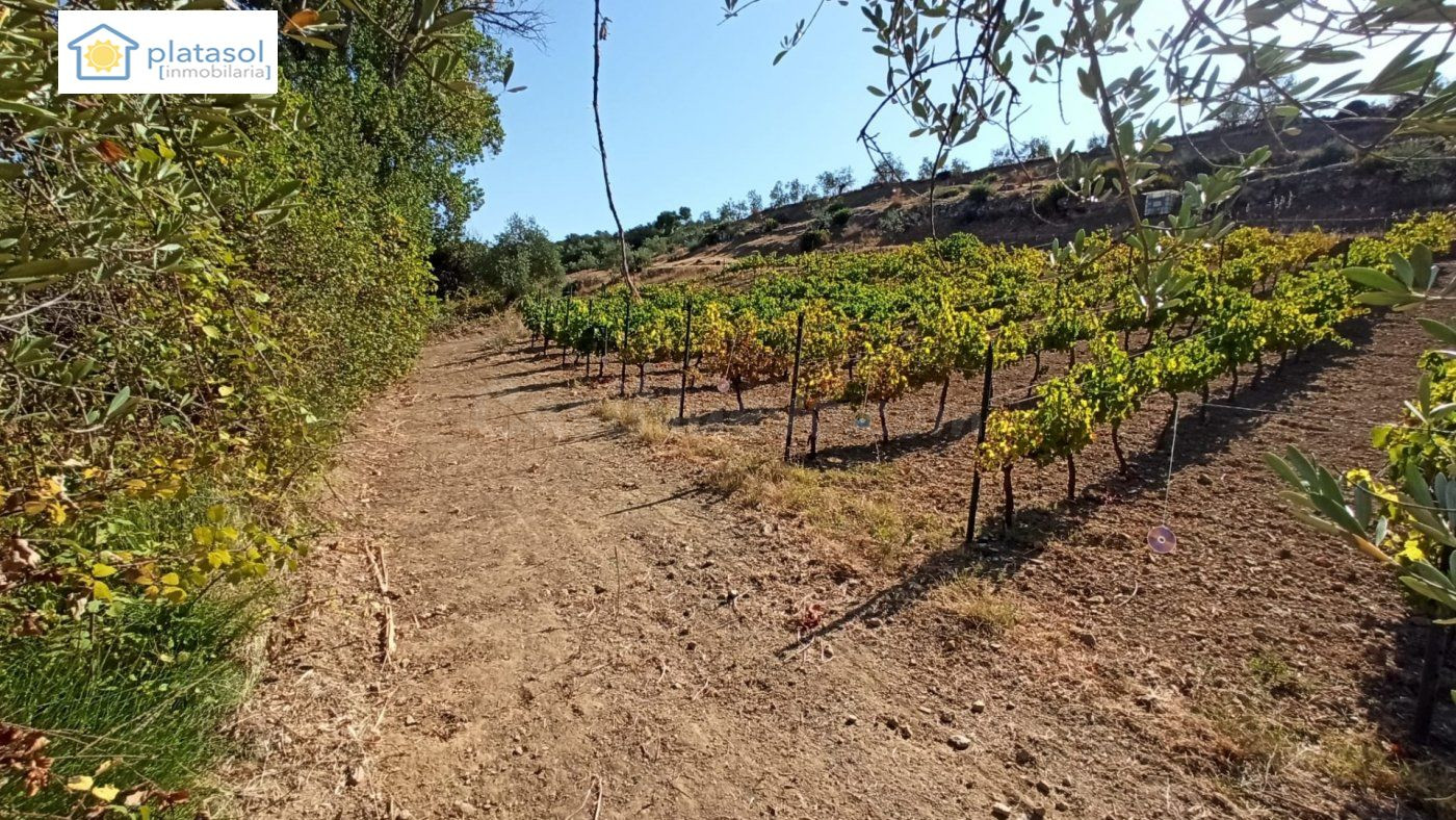 Finca rústica a la venta en Gerena zona camino piedra caballera