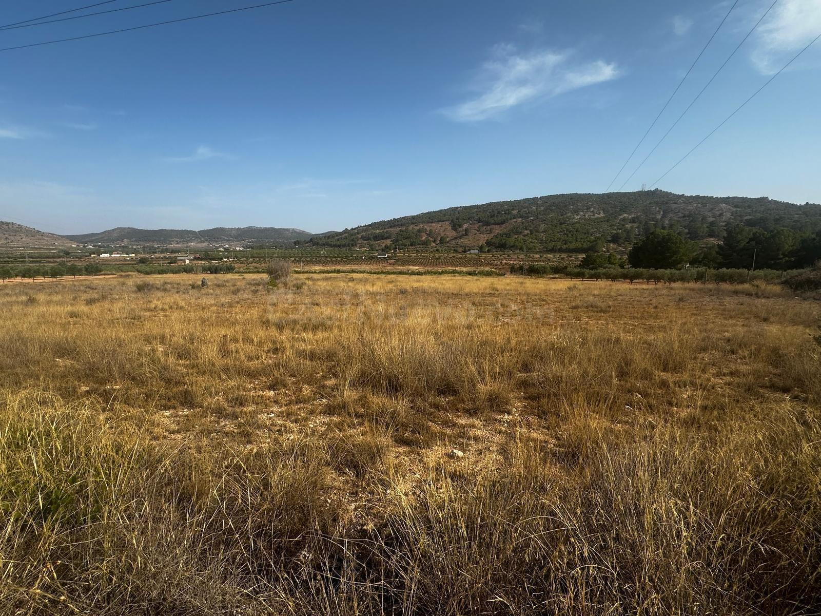 Terreno rural de 7.000 m2 en Casas del Señor (Monóvar)  ¡Por 16.000€!