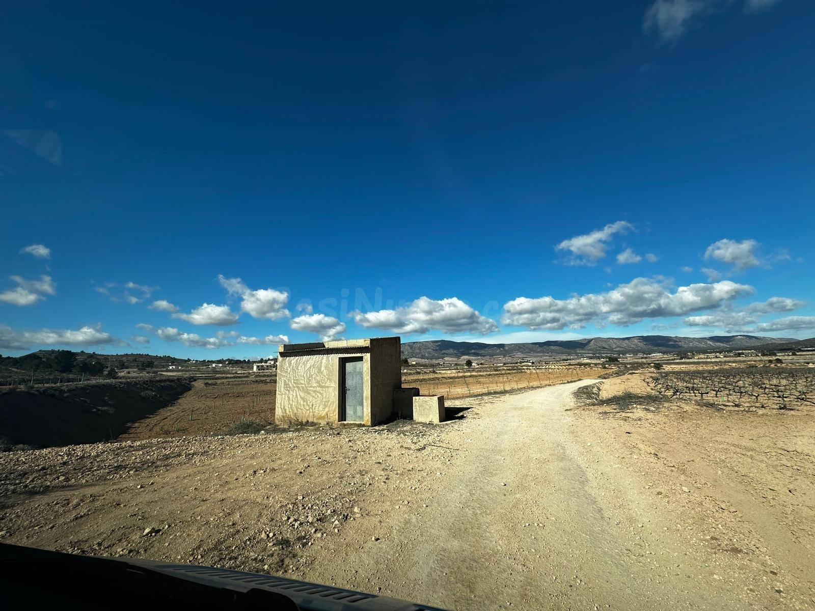 Terreno rústico en venta en Úbeda (Monóvar) – 14.000 m2 con almendros en producción