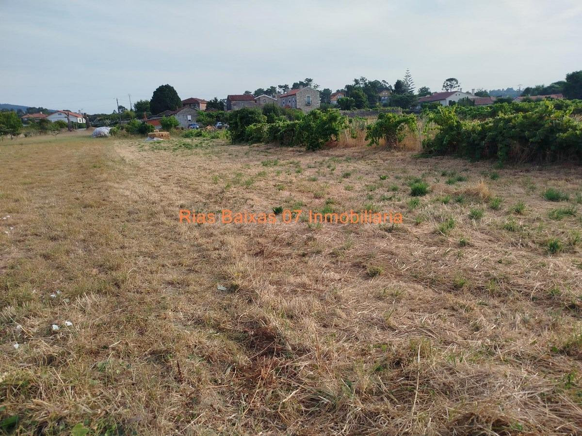 REF 7064  SOLAR LLANO EDIFICABLE DE 1.158 m2 EN ESTAS (TOMIÑ - foto 2