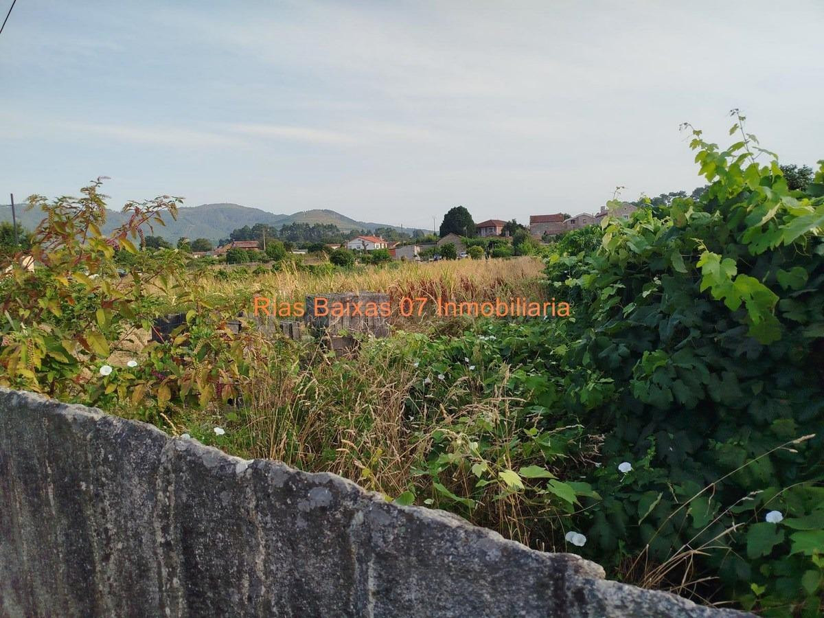 REF 7064  SOLAR LLANO EDIFICABLE DE 1.158 m2 EN ESTAS (TOMIÑ - foto 4
