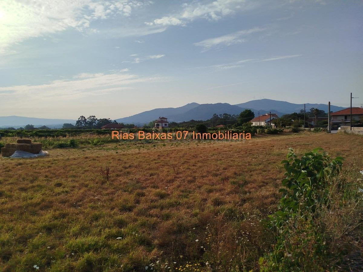 REF 7065  SOLAR LLANO EDIFICABLE DE 1.334 m2 EN ESTAS (TOMIÑO)