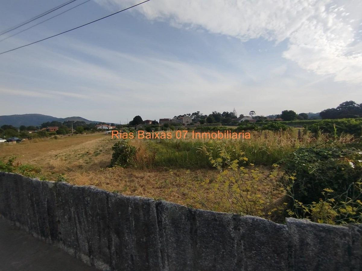 REF 7065  SOLAR LLANO EDIFICABLE DE 1.334 m2 EN ESTAS (TOMIÑ - foto 4