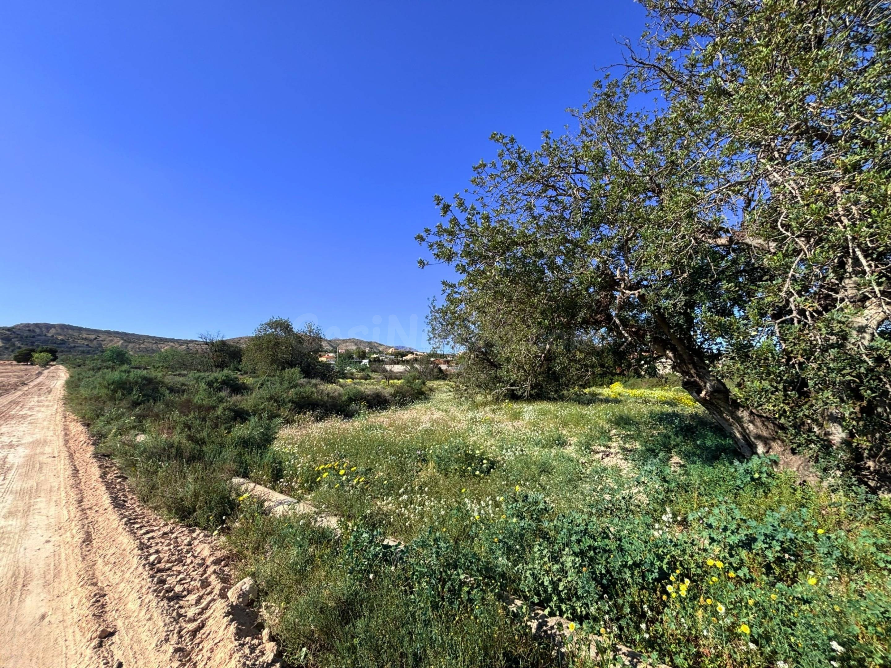 Parcela rústica de 38.780 m2 en El Moralet, Alicante, a 5 km de San Vicente del Raspeig.