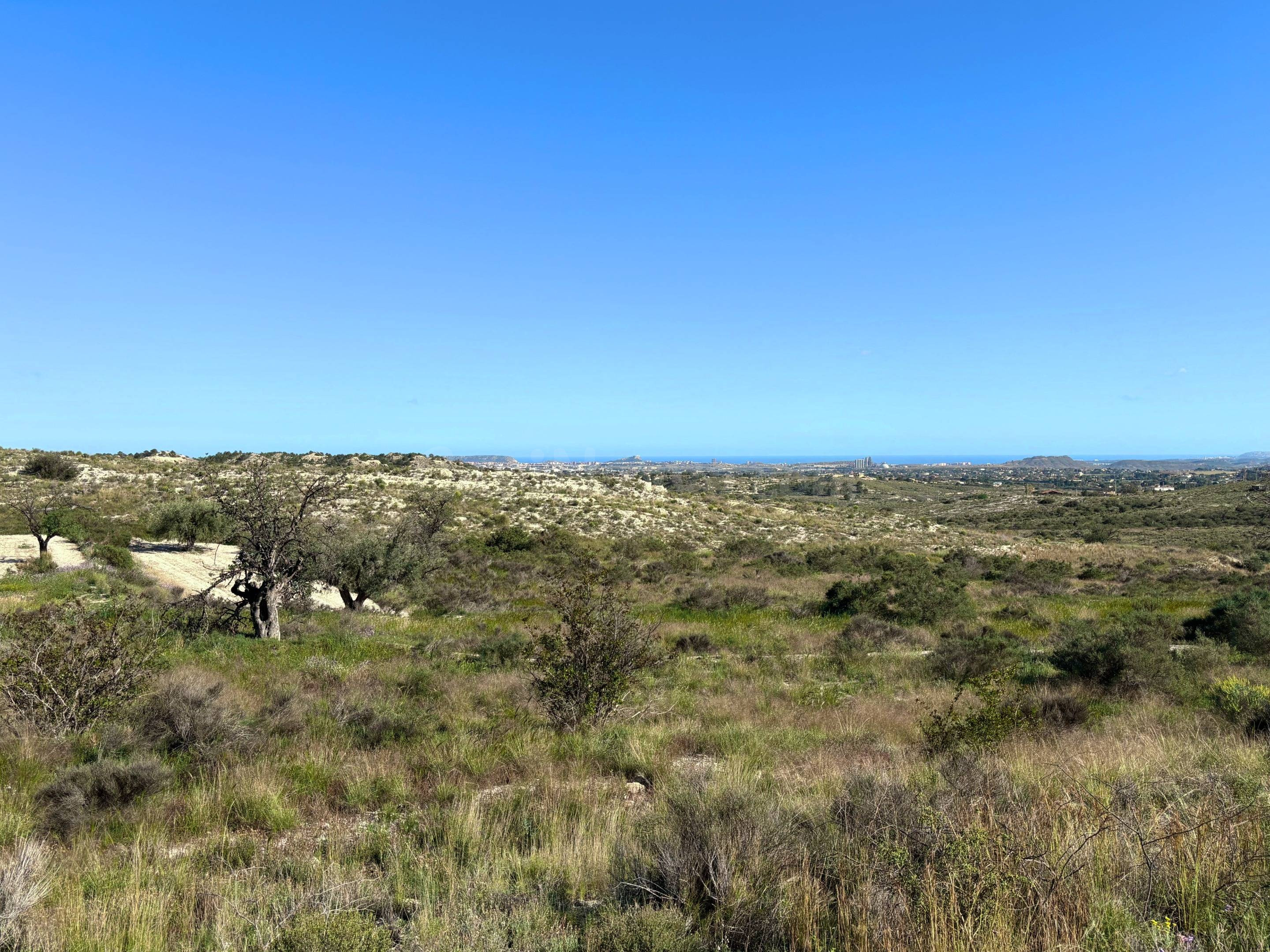 Parcela rústica de 19.216 m2 en El Moralet, Alicante, a unos 5 km de San Vicente del Raspeig