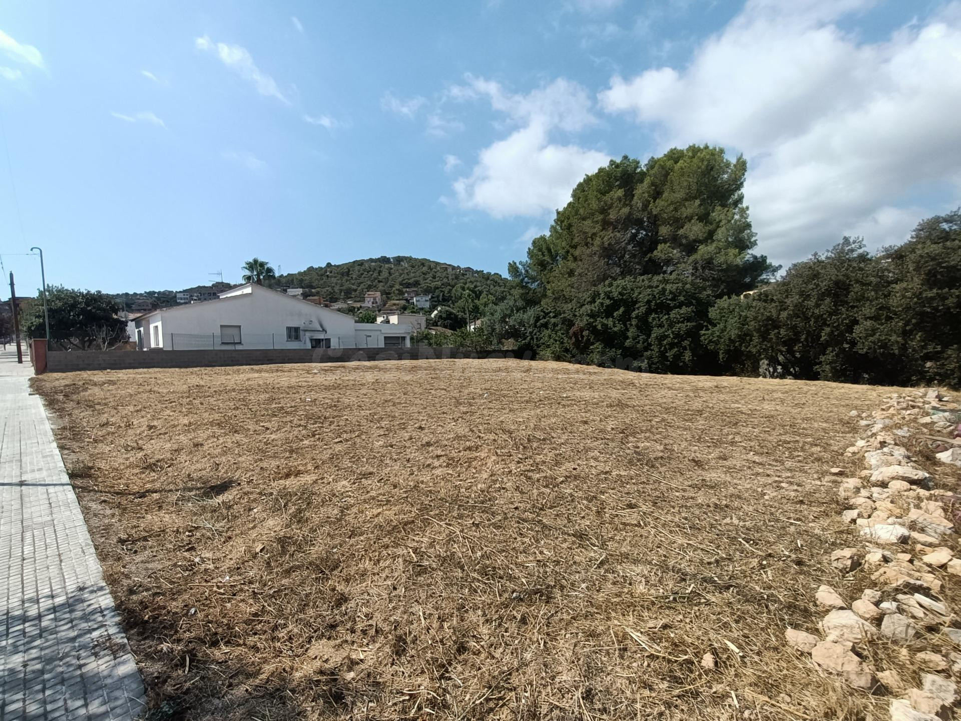 Terreno llano de 801 m2 en una de las mejores zonas de Canyelles