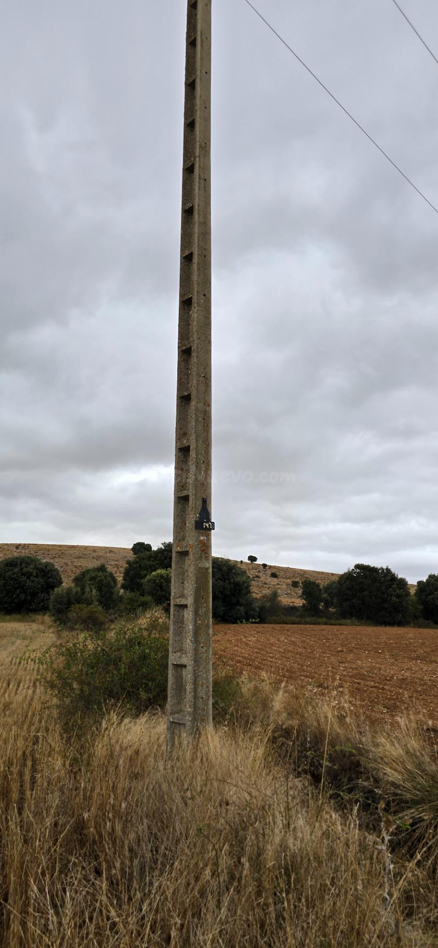 Parcela rústica de secano a pie de carretera entre Garray y  - foto 4