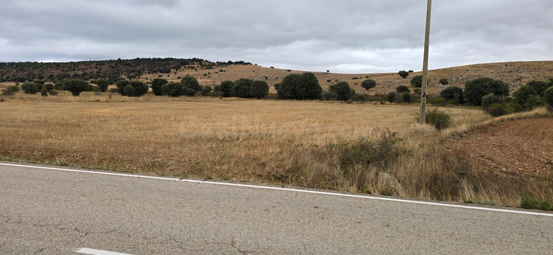 Parcela rústica de secano a pie de carretera entre Garray y  - foto 5