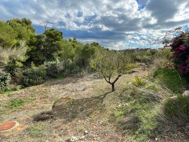 Parcela en venta - La Fustera