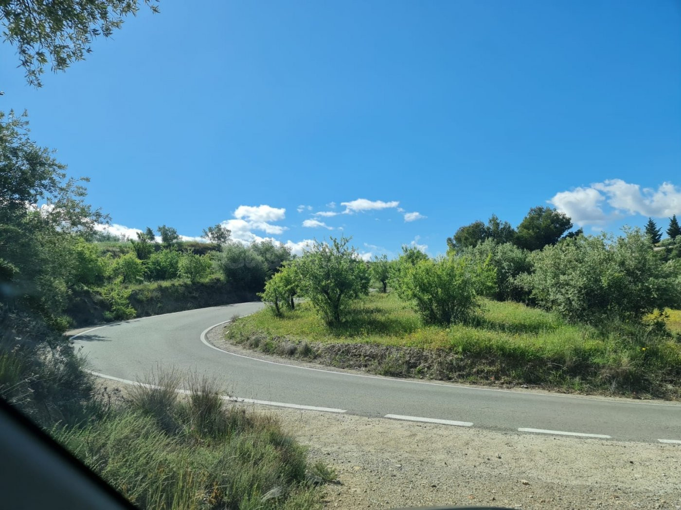 SE VENDE FINCA RUSTICA EN MAIRENA, A 15 MINUTOS DE UGIJAR (6.956m2) POR 8.000€