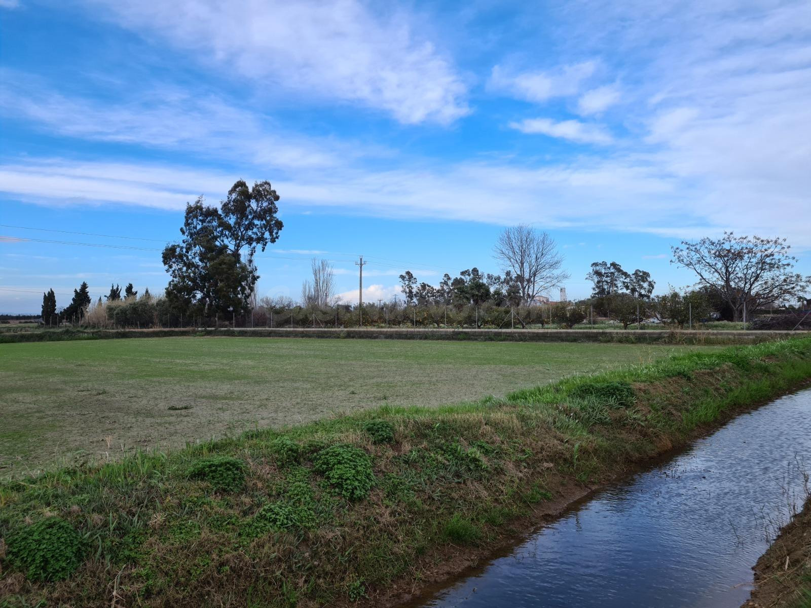 Se vende finca rústica de regadío en Poble Nou del Delta, Amposta – 2.517 m2 de oportunidad en pleno corazón del Delta del Ebro
