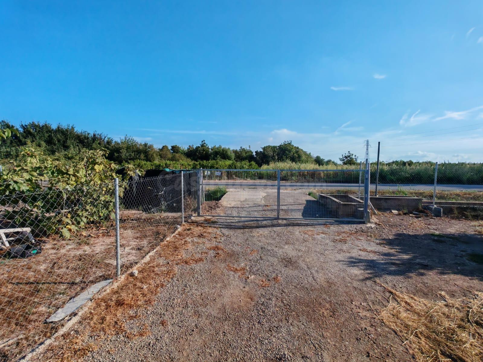 Terreno de cultivo con arboles frutales variados  parcela 2865m2 todo vallado