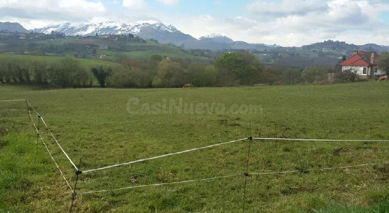 Piso 1362m² en venta - San Claudio-Trubia-Las Caldas