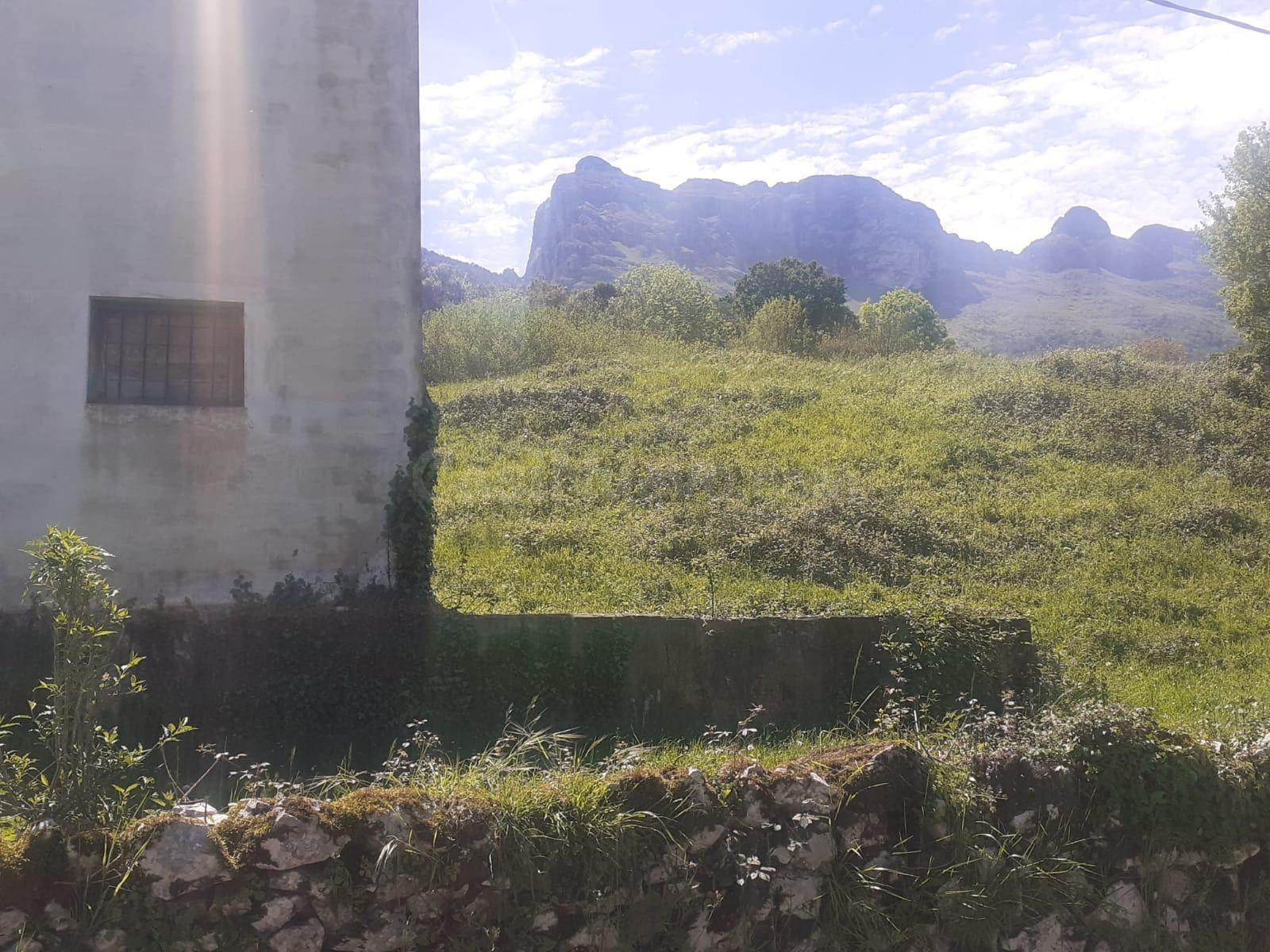 SE VENDE TERRENO CON EDIFICIO  EN RAMALES D ELA VICTORIA (CA - foto 3