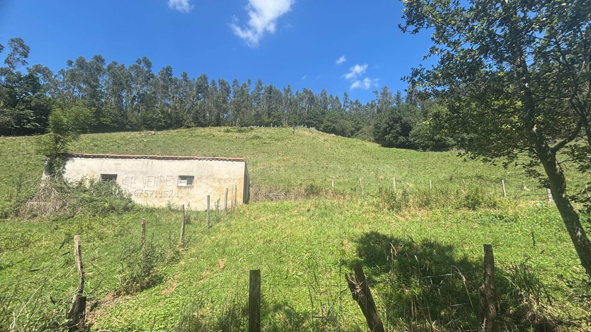 SE VENDE TERRENO RUSTICO EN RAMALES DE LA VICTORIA (CANTABRIA)