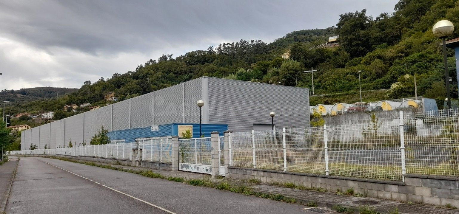 Nave industrial 1 habitación 6341m² en venta - Figaredo - Turón