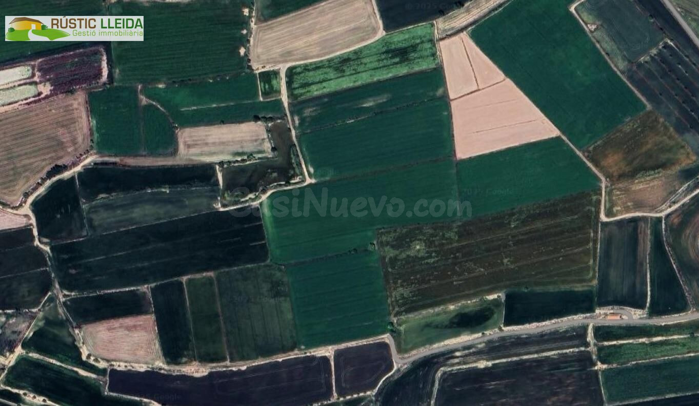 Finca de regadío con almacenes y casa en los alrededores de Vila-sana.