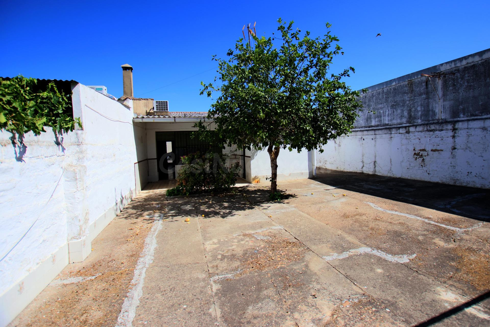 Casa de planta baja en Puebla de la Calzada - ¡Tu Nuevo Hogar te Espera! ✨