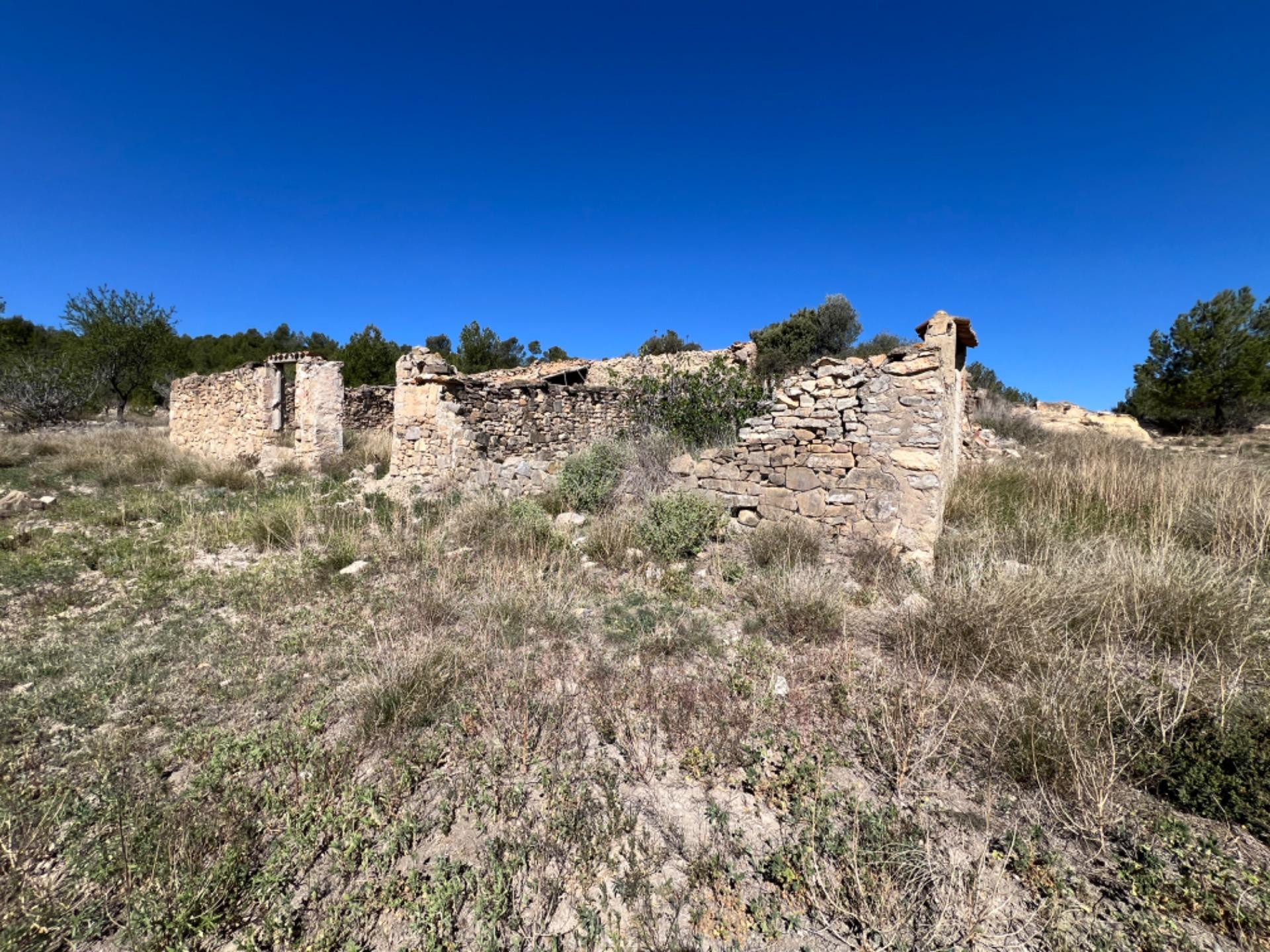 FINCA RÚSTICA CON  23.000 M2 CON CULTIVO DE OLIVOS Y ALMENDROS