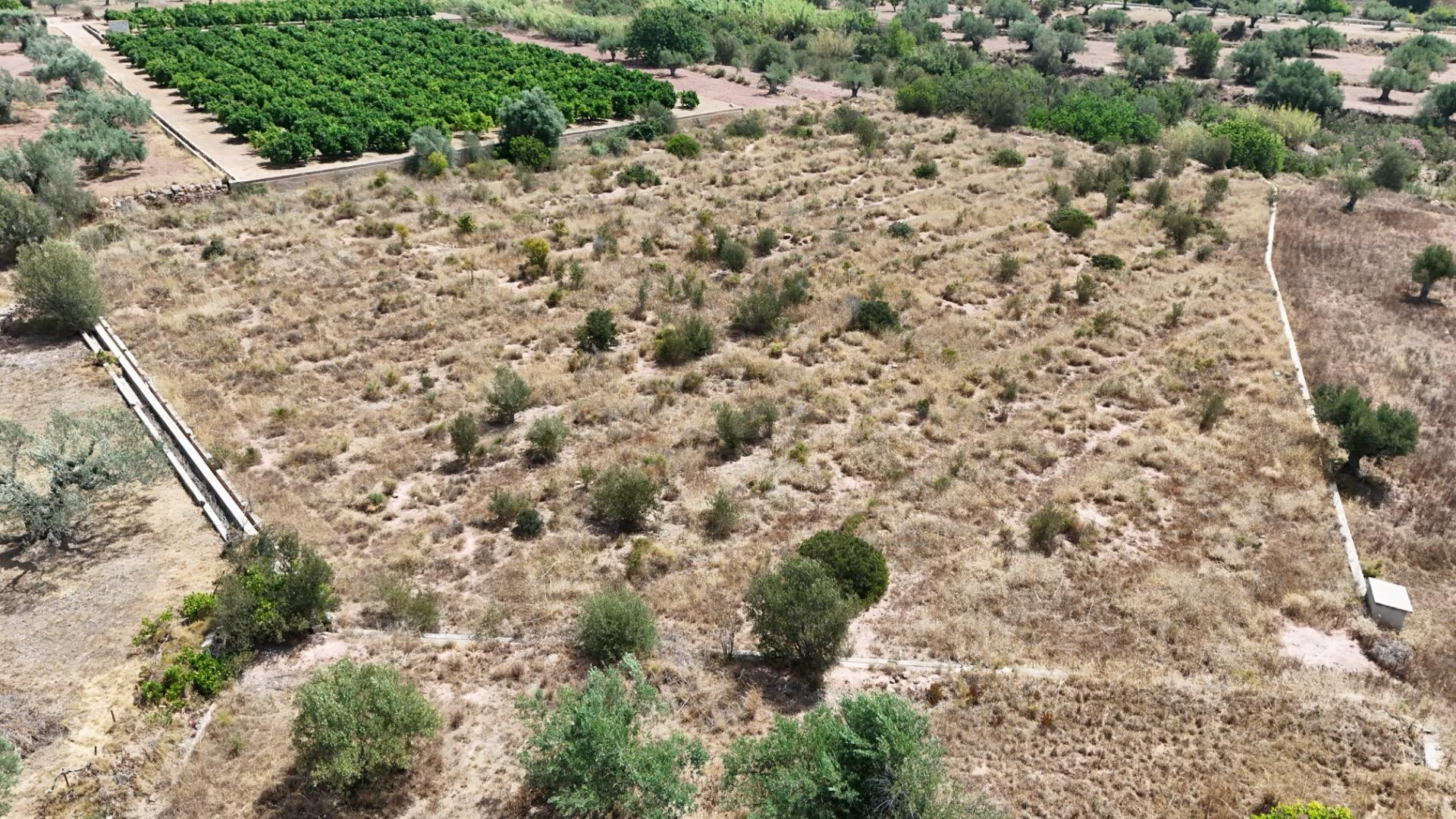 Se vende finca rústica en Olocau – 6.467 m2 para cultivo, con acceso asfaltado y agua de riego