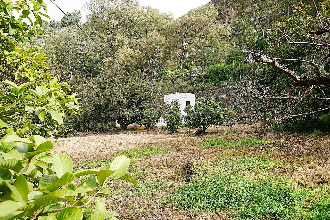 Encantadora Casa Rústica en Teror, Zona del Hornillo, con Amplio Terreno y Vistas Privilegiadas