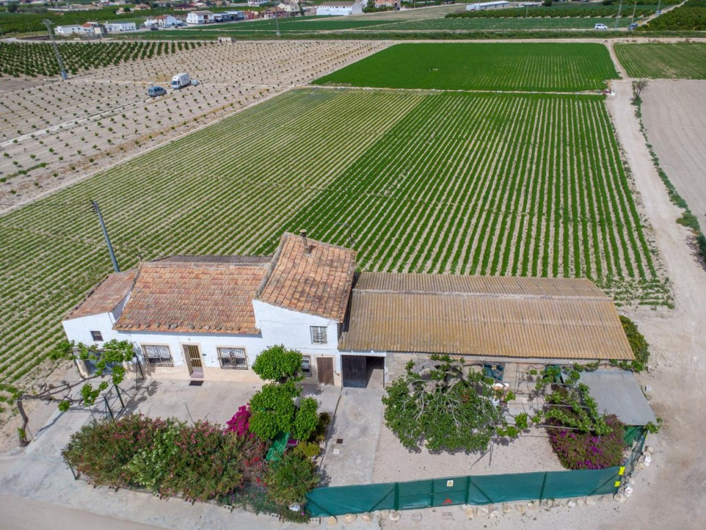 Finca con vivienda para reformar y 12.689 m² de terreno en Huerta de Desamparados - foto 5