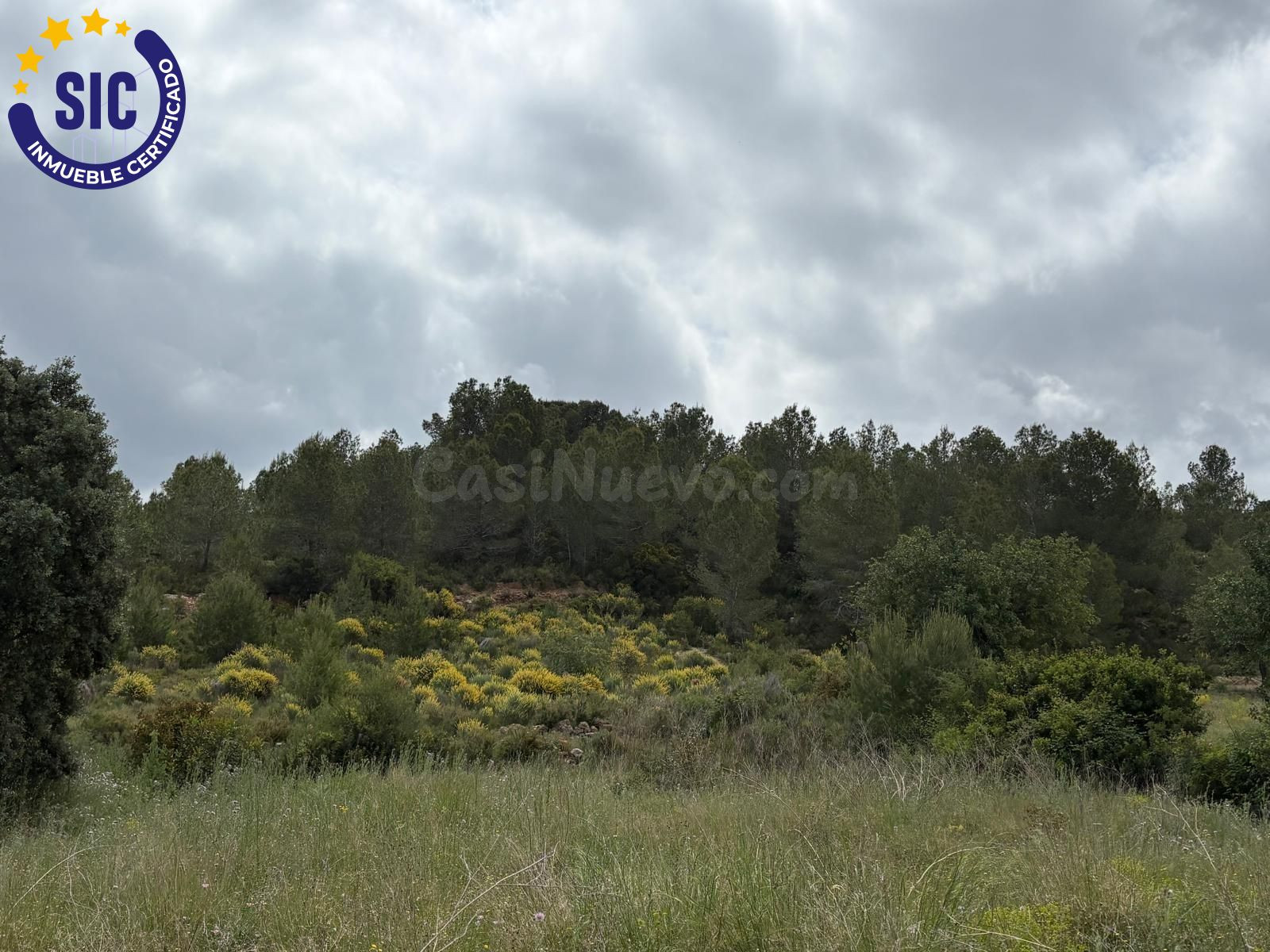 SE VENDE TERRENO RÚSTICO 6200M2 EN MONTROY