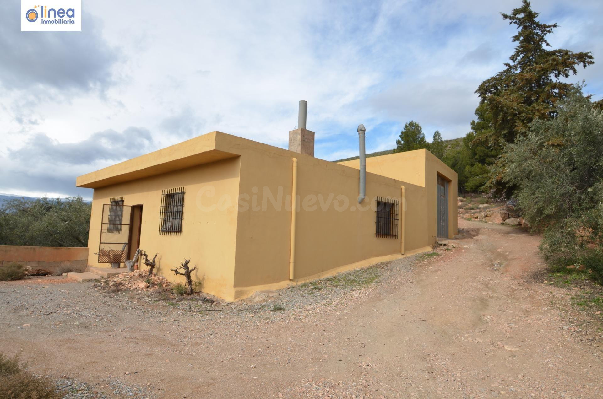 VENDEMOS FINCA DE OLIVOS CON CORTIJO RURAL EN ALCOLEA (ALMERIA)