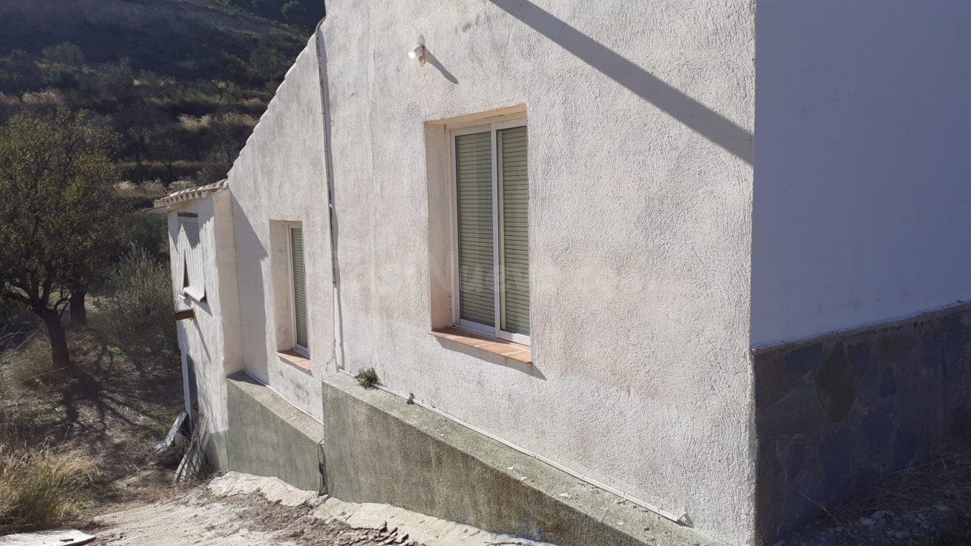 CASA DE CUATRO habitaciones Y TIERRAS EN BAYARQUE ( ALMERÍA ).