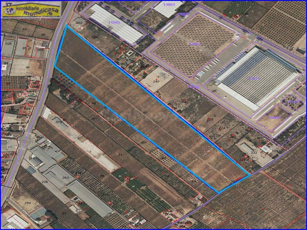 Magnífica Finca Rústica en Santomera, Matanzas - Zona urbanizable industrial