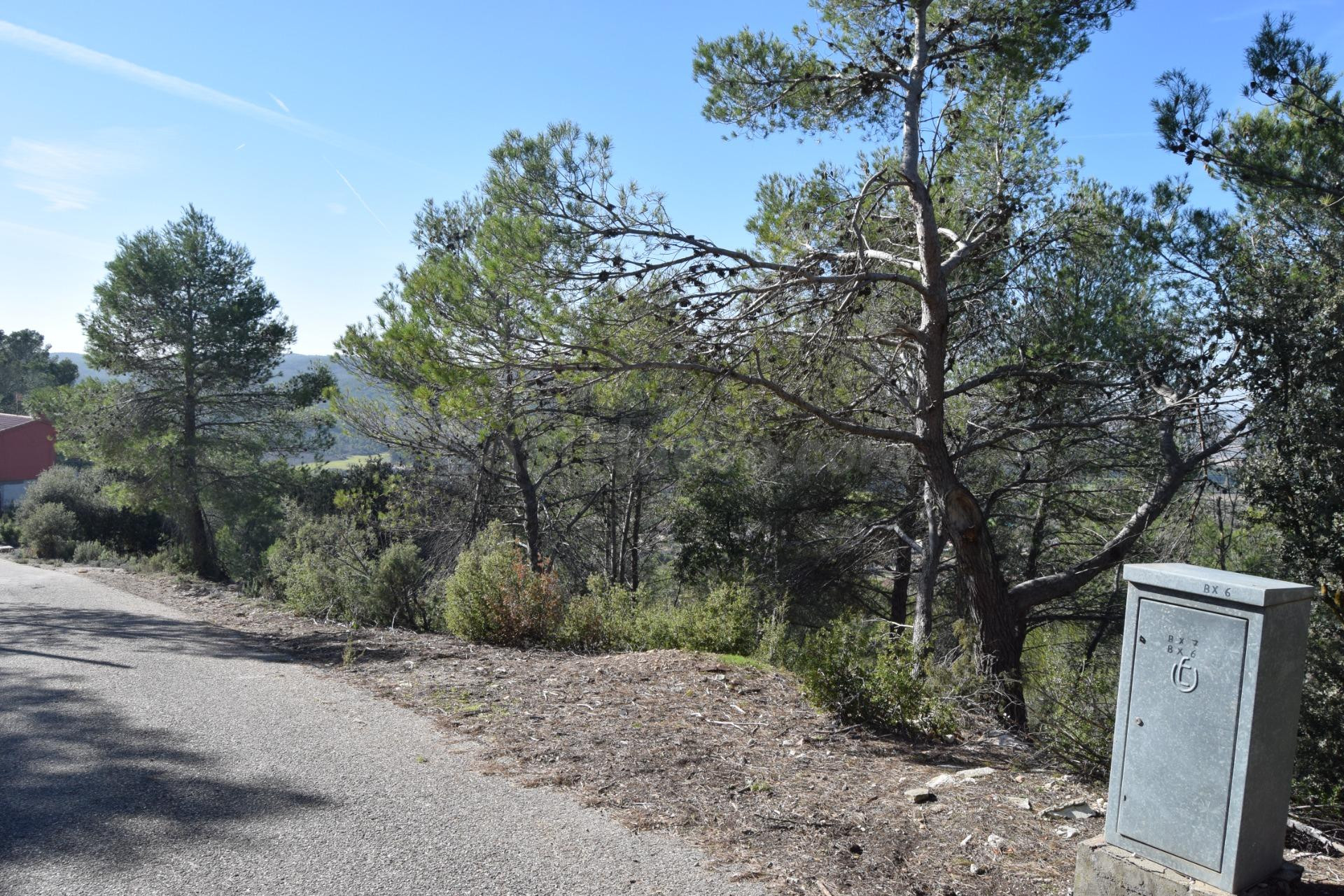 PARCELA CON VISTAS AL VALLE DEL TAJO - foto 2
