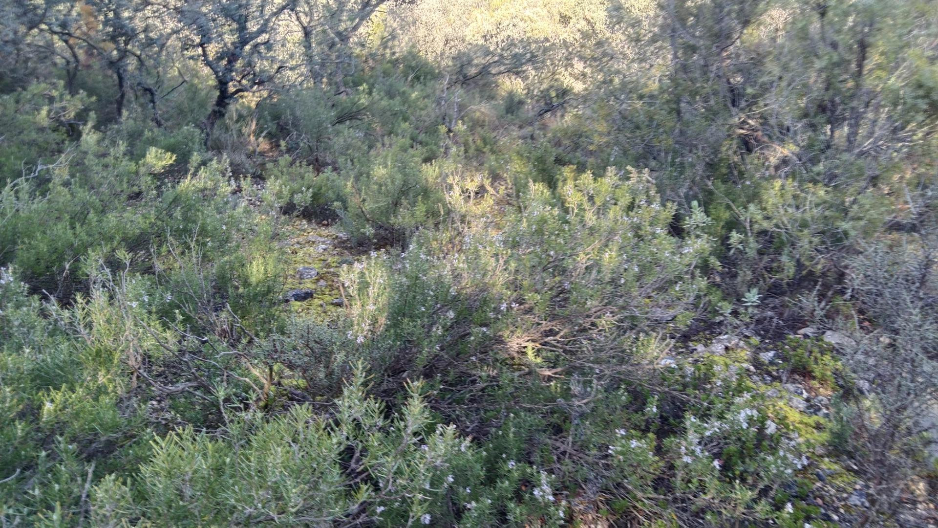 Parcela de 3.600m2, con vistas y llana - foto 2