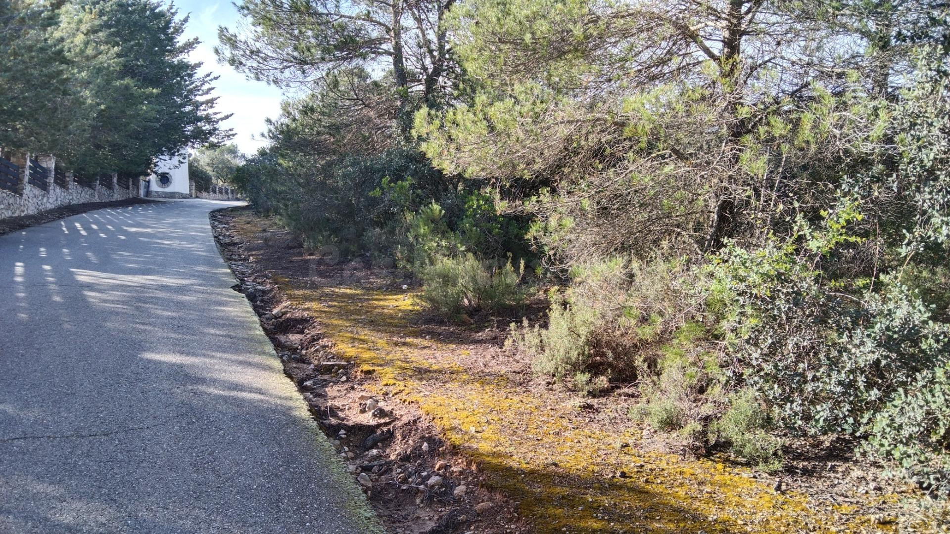Parcela de 3.600m2, con vistas y llana - foto 3
