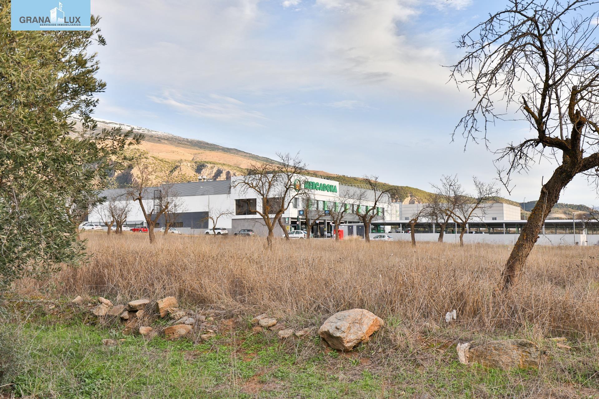 Más de 3000 metros de suelo Urbanizable Industrial frente a Mercadona y Lidl de Nigüelas