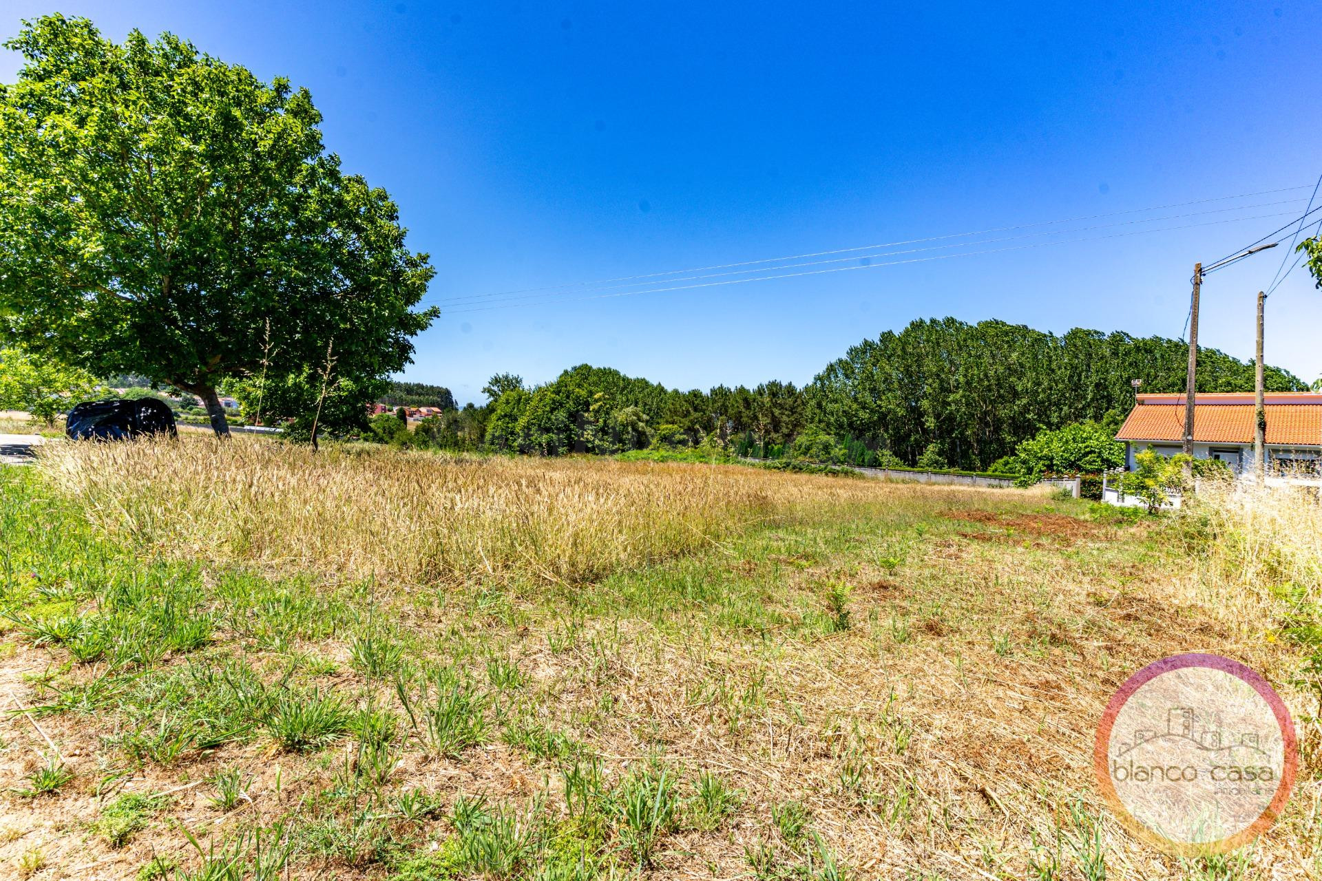 Gran SOLAR urbano de 1.594 m2 en VENTA a 2,5 Km de Carballo ( A Coruña)
