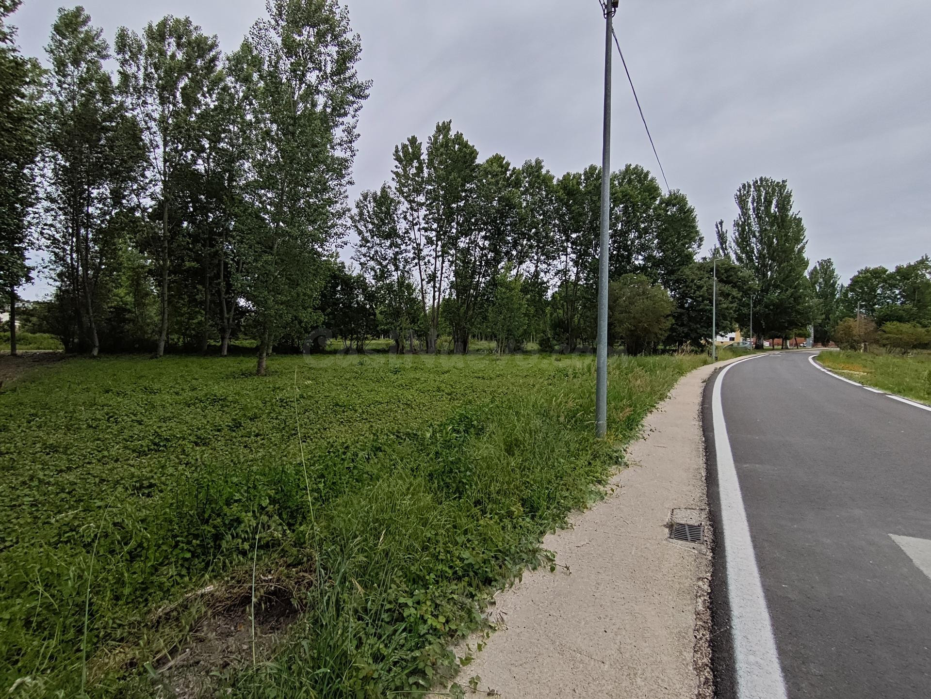 Terreno Urbano en Villadepalos, Carracedelo - Oportunidad Única por €39.000
