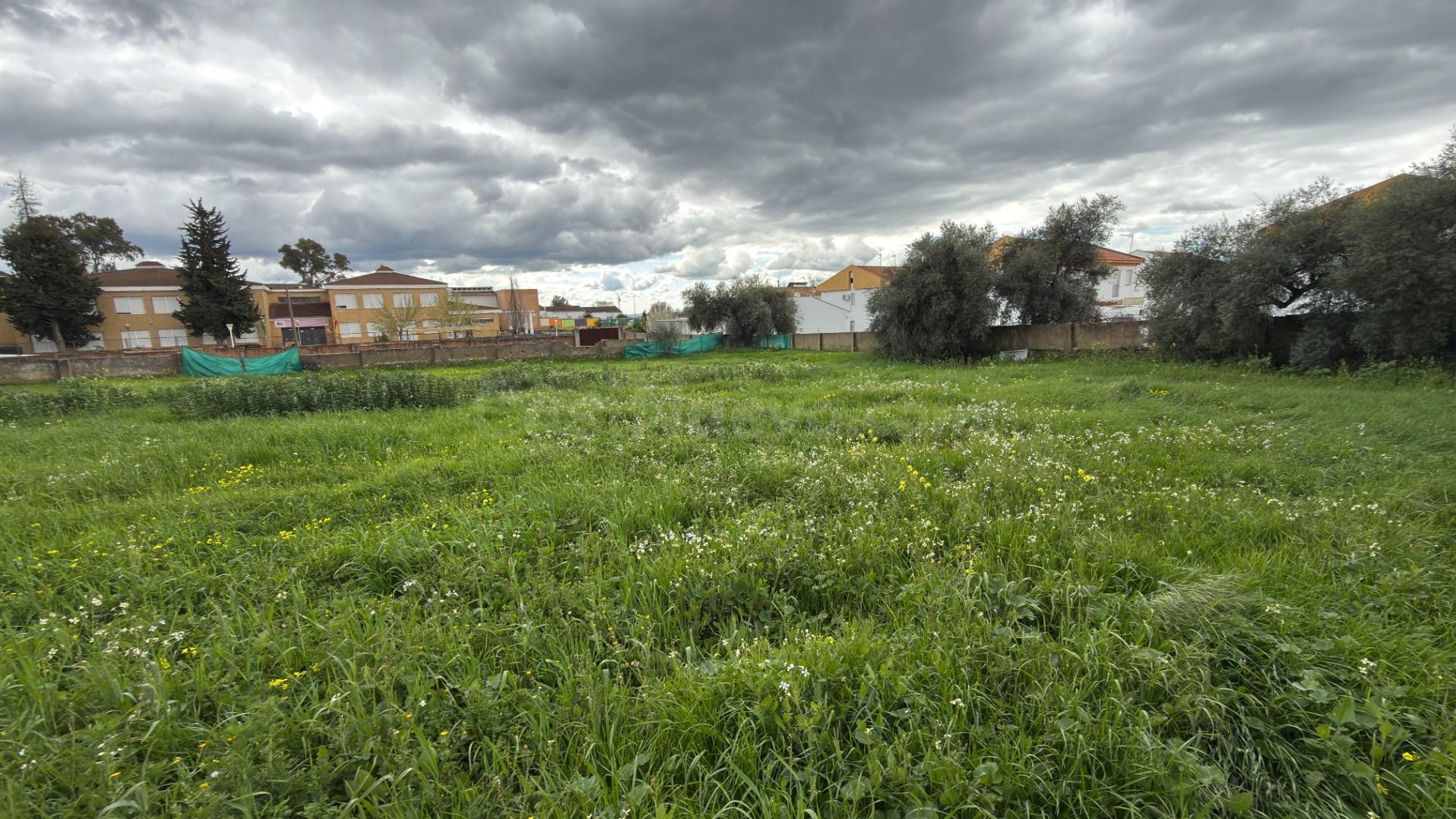 TERRENO URBANO INDUSTRIAL EN EL CERRO DE LA ANDÉVALO (HUELVA - foto 2
