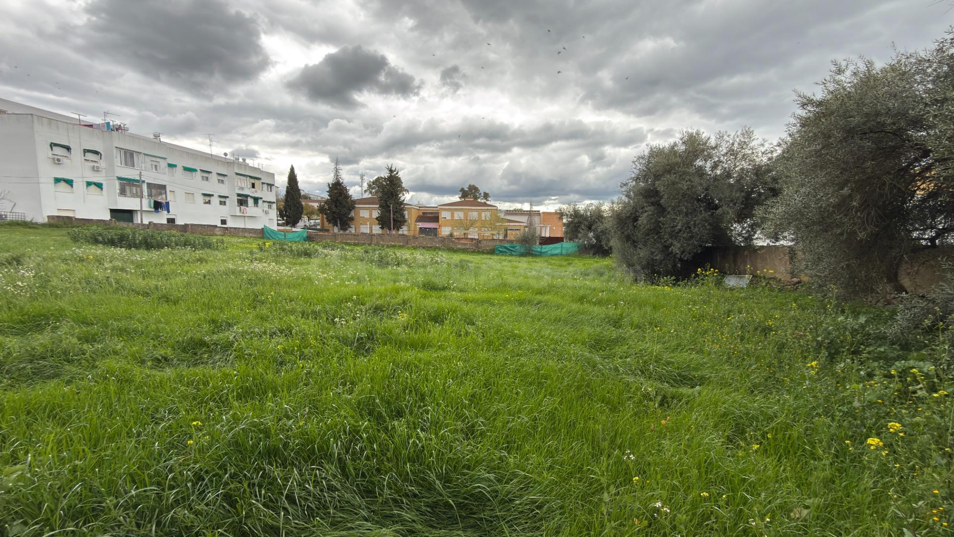 TERRENO URBANO INDUSTRIAL EN EL CERRO DE LA ANDÉVALO (HUELVA - foto 3