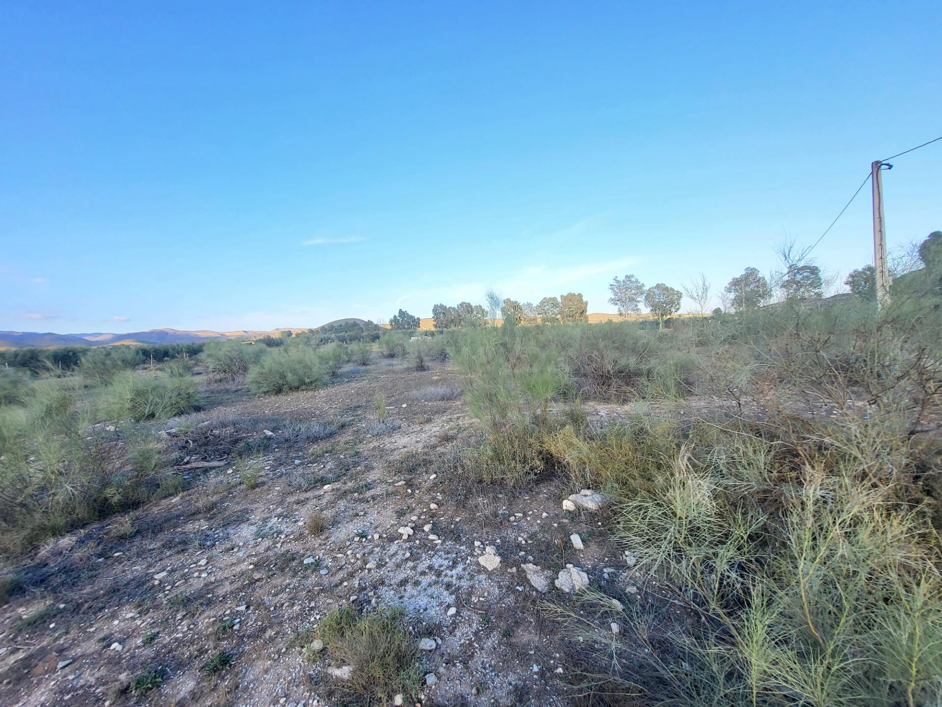 SE VENDE PARCELA  EN TABERNAS PARAJE PEDREGALES - foto 4