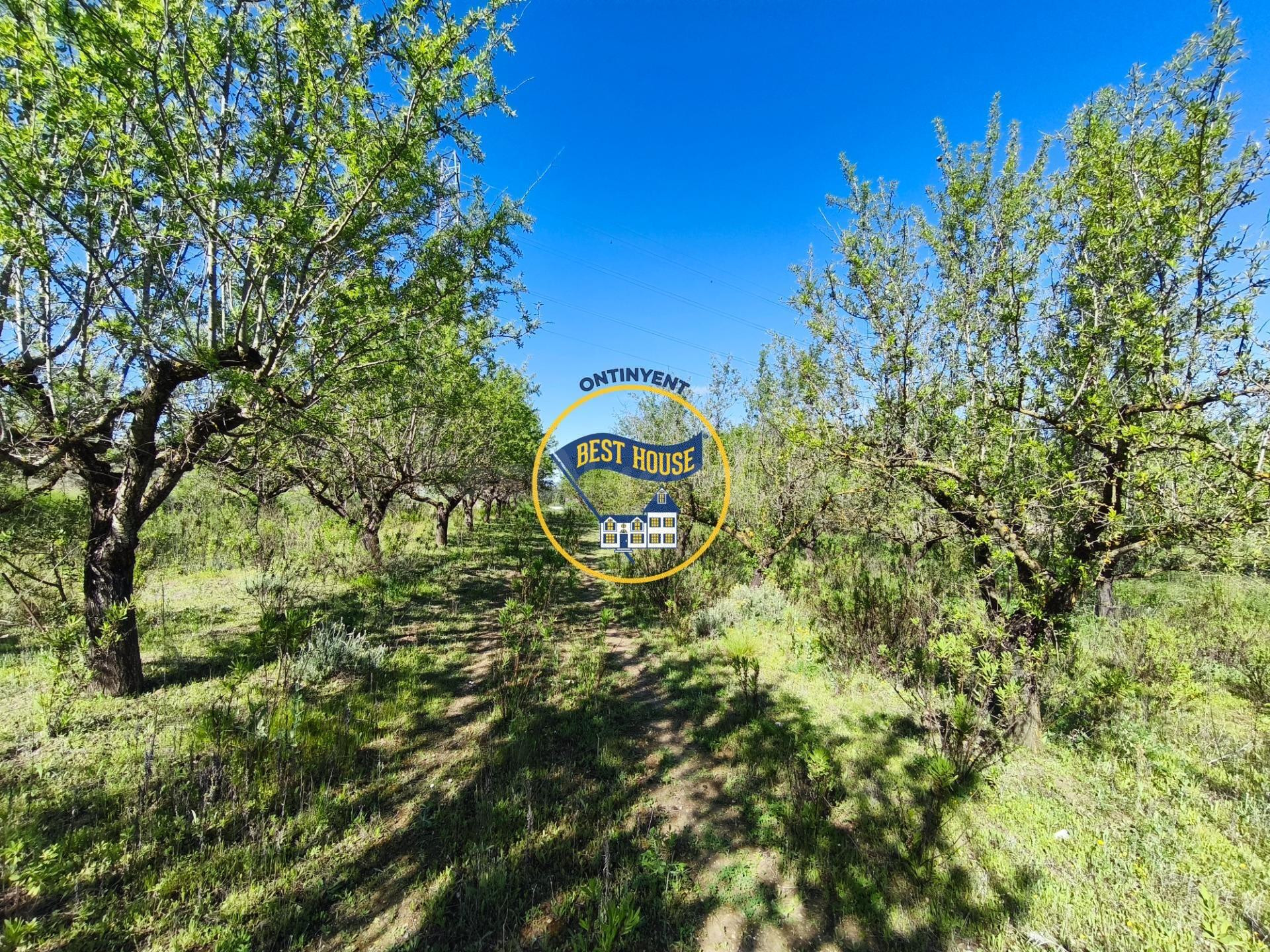 ESTUPENDO LOTE DE 4 PARCELAS DE TERRENO DE CULTIVO EN ALBAIDA